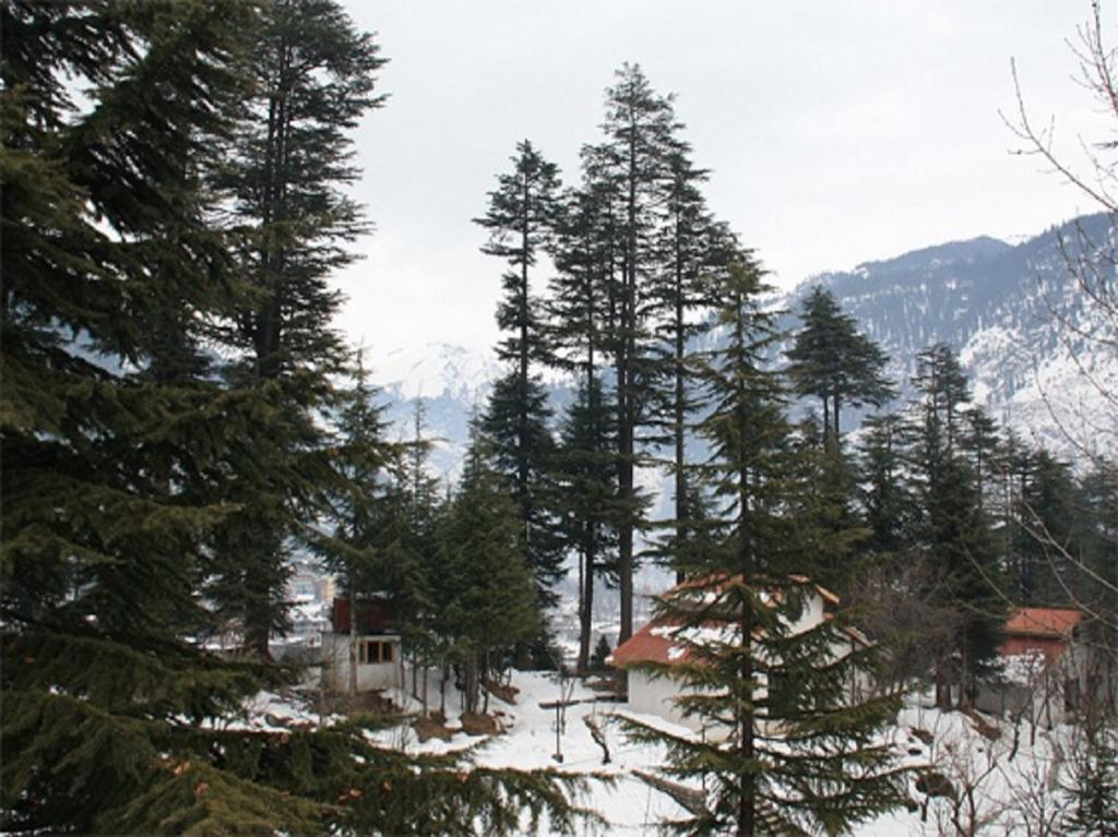 Hotel Greenfields Manāli Exteriér fotografie